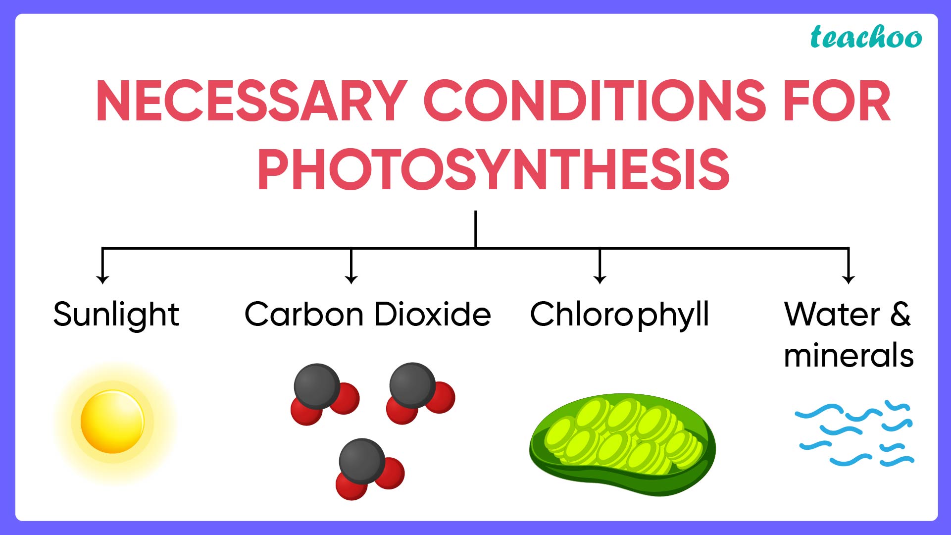 Necessary conditions for Photosynthesis - Teachoo.jpg